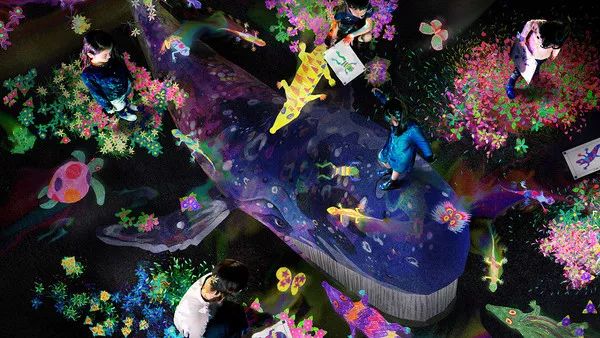 日本在世当代艺术家,日本当代艺术家太阳花