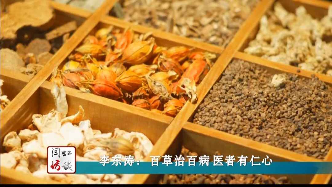 闫虹访谈2017,闫虹采访张东武