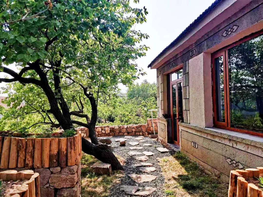 樱桃熟了五一好去处,采摘樱桃好去处五莲