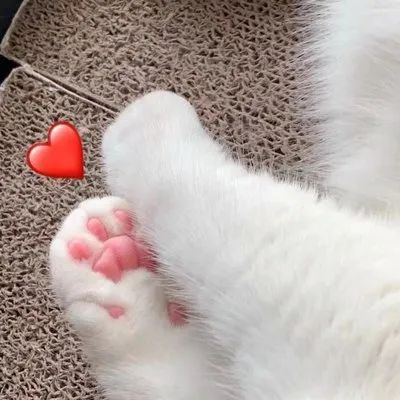 5月19号昆明有哪些景区免门票,五月份昆明有什么