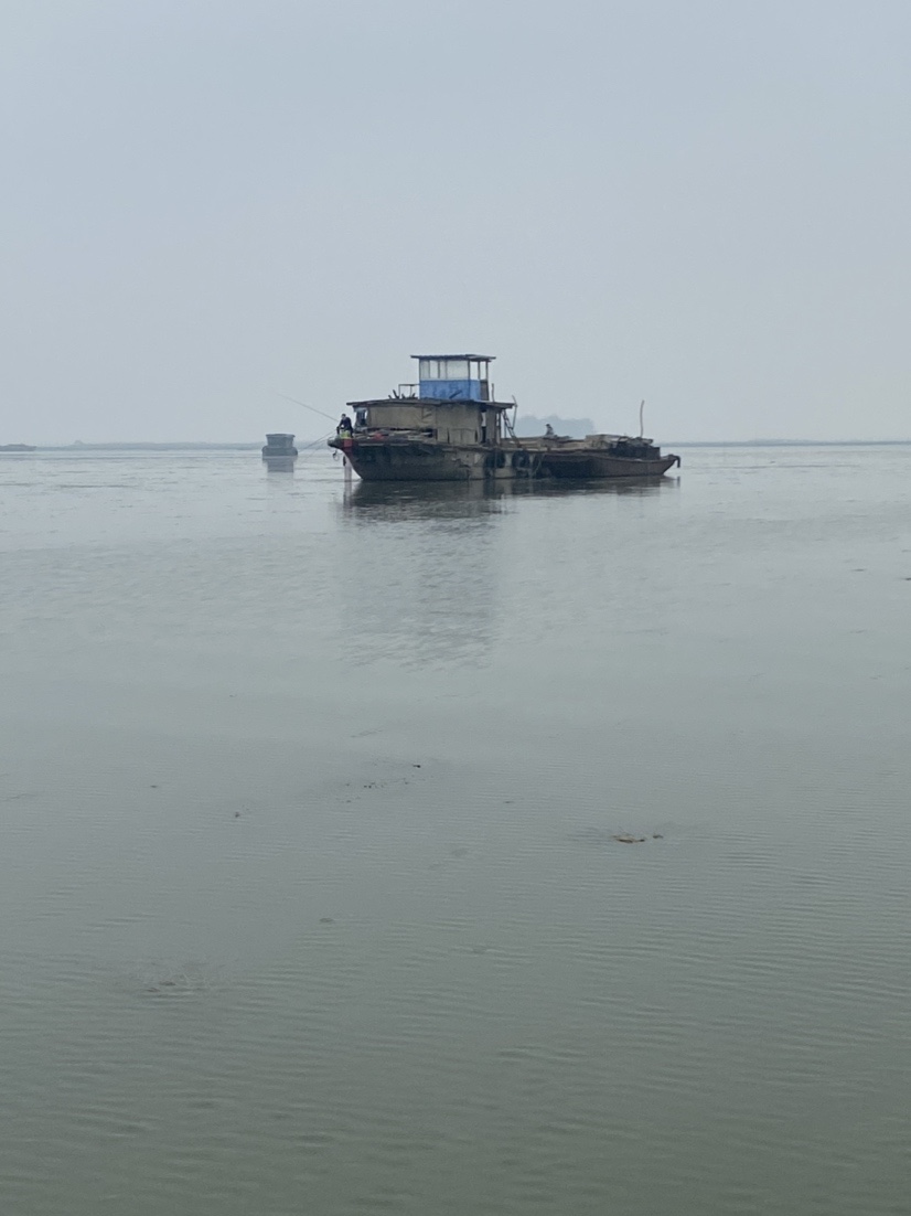 骆马湖秋季鲫鱼,骆马湖最大鲫鱼