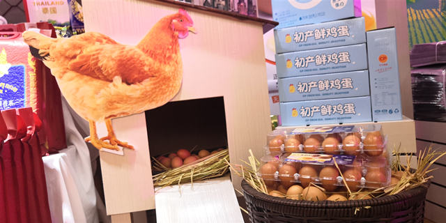 五五购物节芮欧有什么优惠,五五购物节上海车市