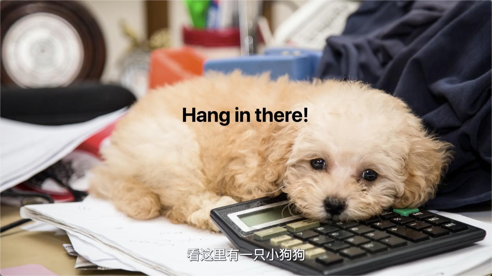 来自小贱贱的绝佳省钱广告,PPT工厂从此站起来了