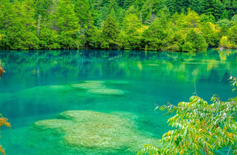 卫星图上的九寨沟,九寨沟全景解说