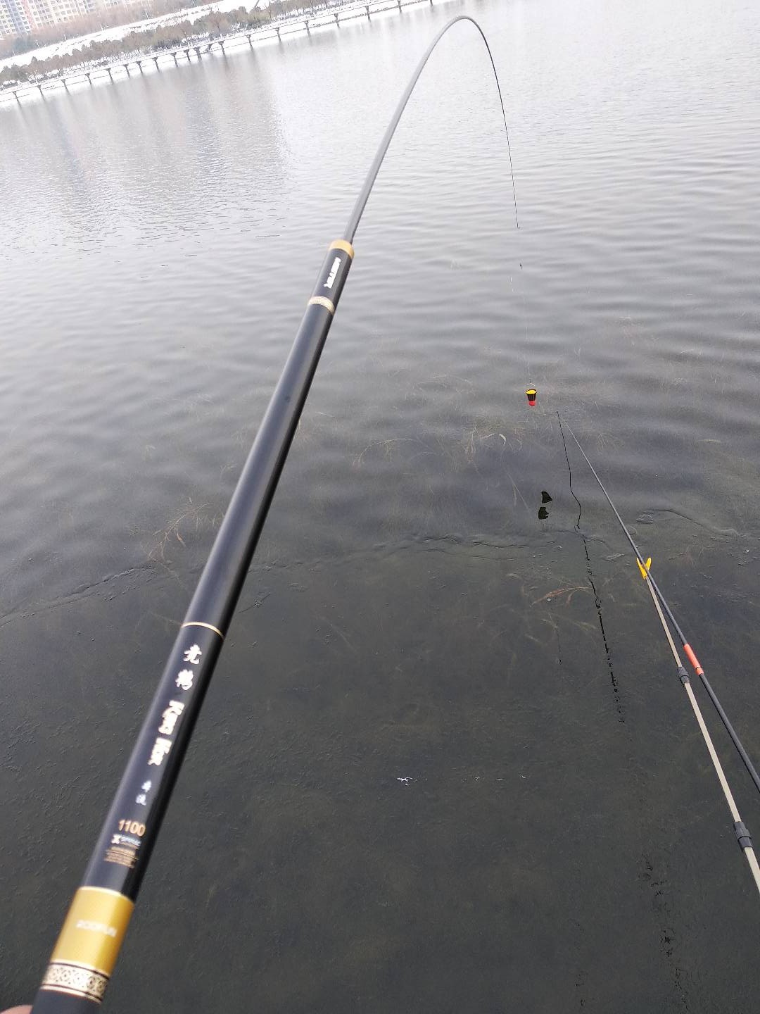 打窝怎么打才能聚鱼,哪种打窝方法最诱鱼