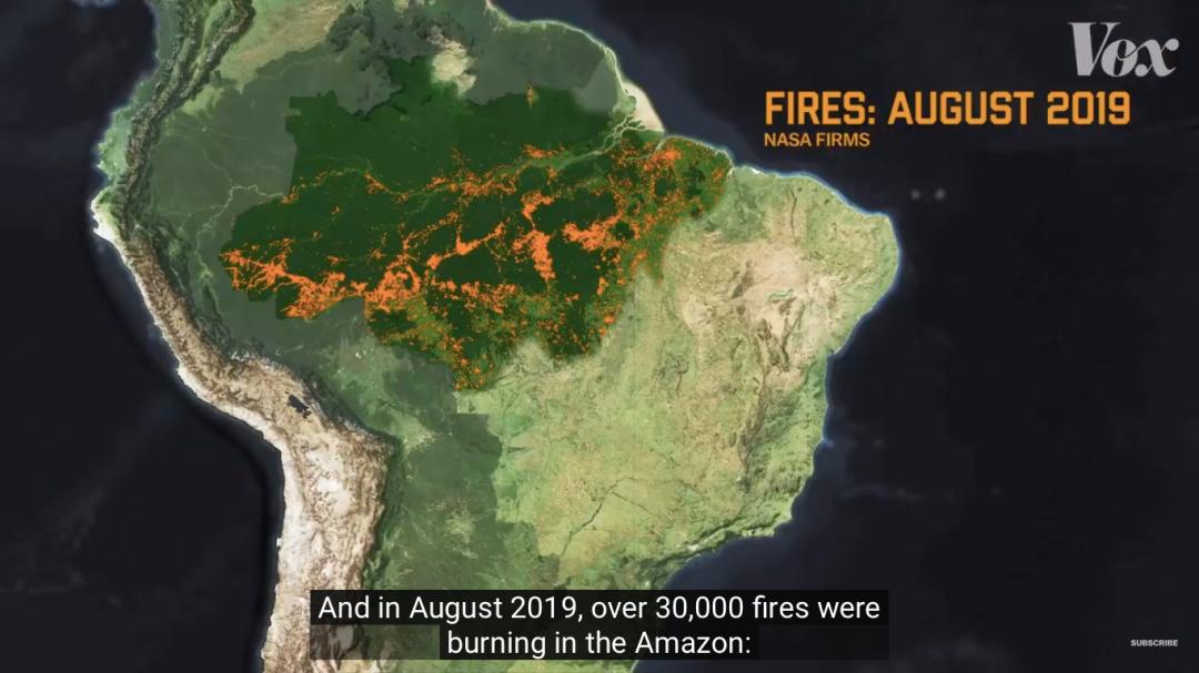 三个月砍掉20个曼哈顿,一年砍掉一个国家,亚马逊已经到了最危急的时候