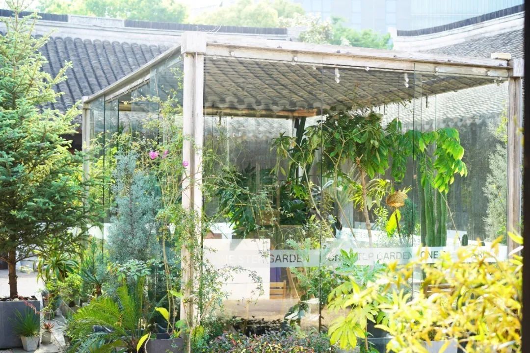 上海迪士尼免费6日游,上海迪士尼乐园中午入园门票