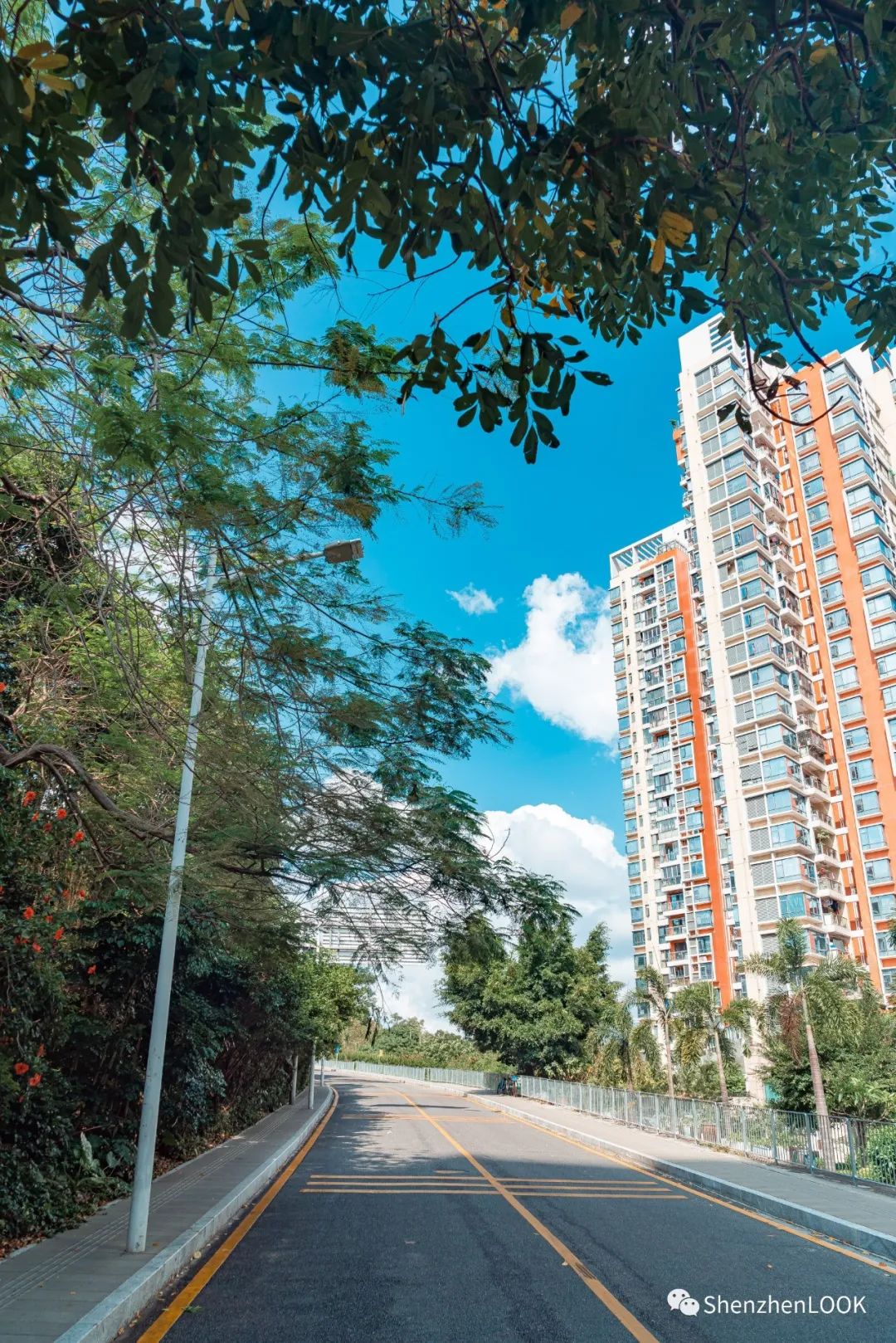 look这是什么牌子的包包,严浩翔说look这是tnt什么舞台