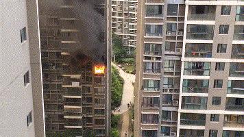 驱蚊安全,室内驱蚊安全最有效