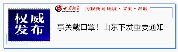 山东已破获电信网络诈骗案,山东省滨州网络诈骗案件最新