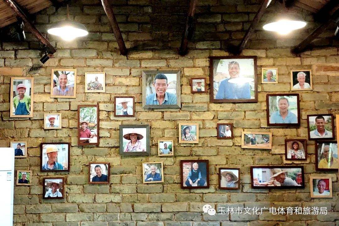 分享|“云游”林间小屋、石砌村道、稻田果树！乡村康养的好去处