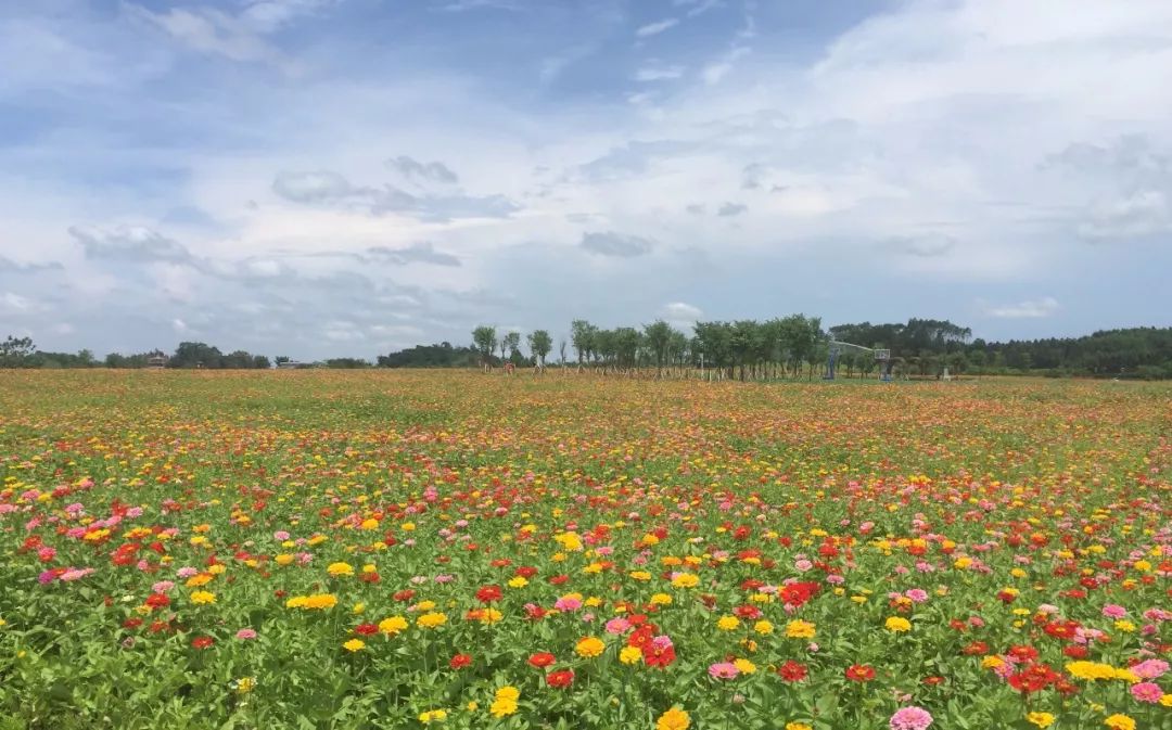 广西景色超好的民宿,广西最好看民宿