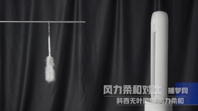 德国荣芝和戴森的无叶风扇哪个好,戴森无叶风扇为什么贵那么多