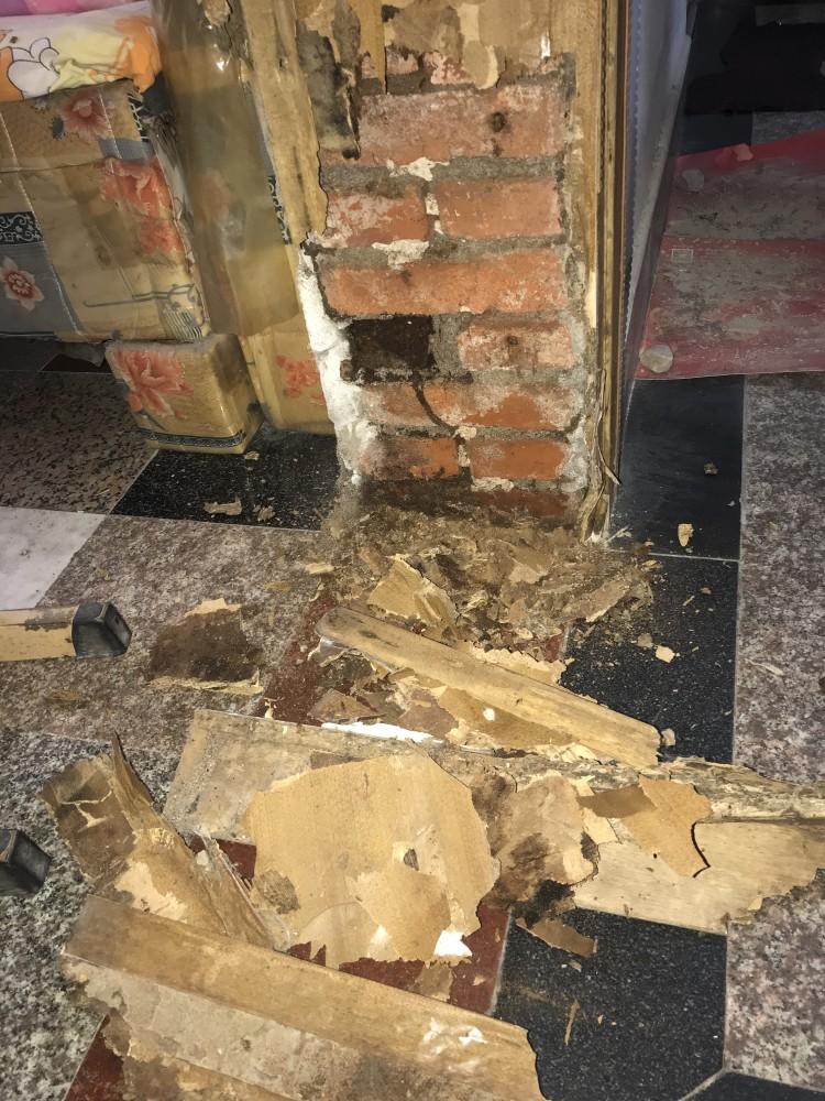 最近你家发现白蚁了吗？别慌，打3925716免费治