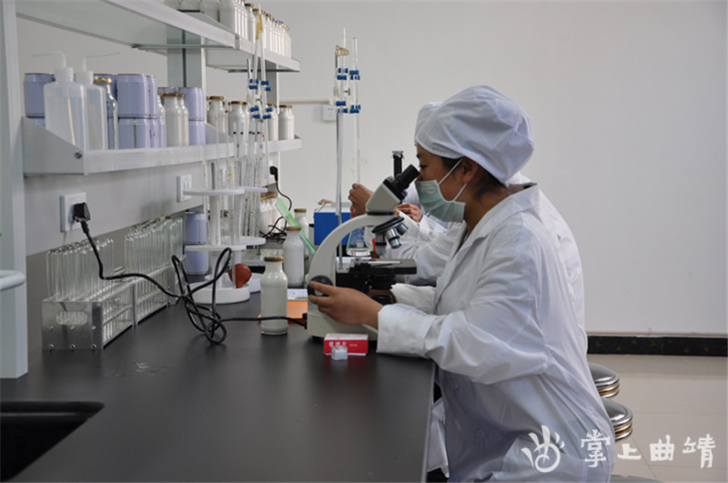 七彩天香核桃乳图片,核桃乳加工产品有哪些