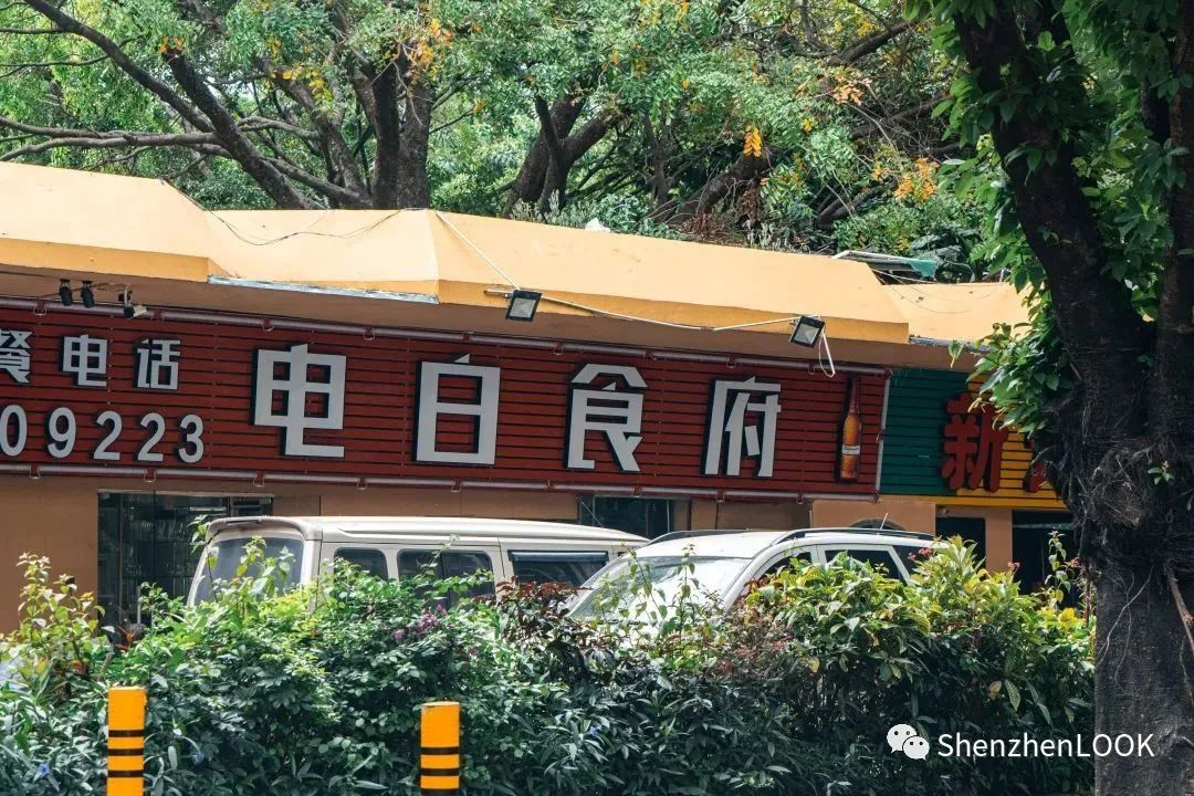 LOOK|这，就是园岭