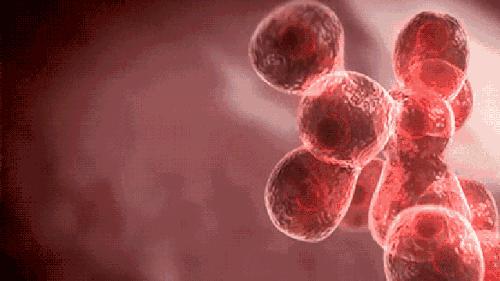 肿瘤标志物化验有意义么,肿瘤缩小但肿瘤标志物升高