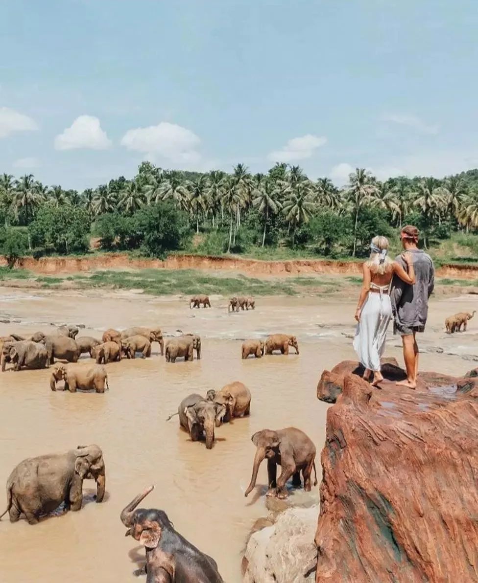 一张照片卖6万的清洁工，靠穷游把美女娶回了家