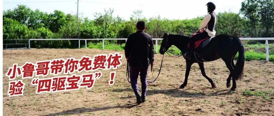 溶洞、观鸟、湿地雨林、网红吊桥、瀑布...只要99元小鲁哥带你清凉一夏