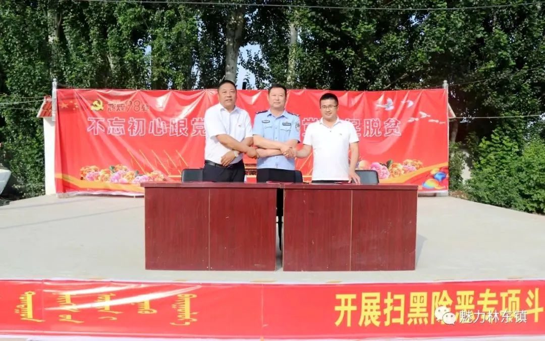 基层党建引领三农,基层党建先锋村