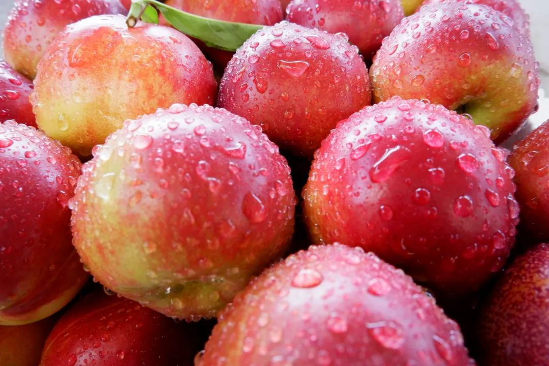 桃子油桃,黄心油桃5斤应季大桃子