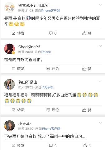 屋里白色小飞虫咬人,家里好多黑色的带壳小飞虫咬人吗