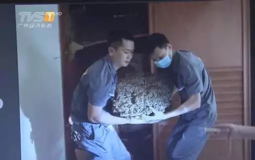 屋里白色小飞虫咬人,家里好多黑色的带壳小飞虫咬人吗