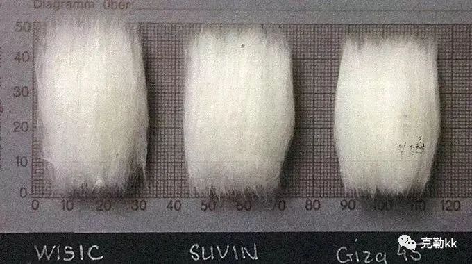 海南翻领t恤衫团购,海岛棉t恤价格多少钱