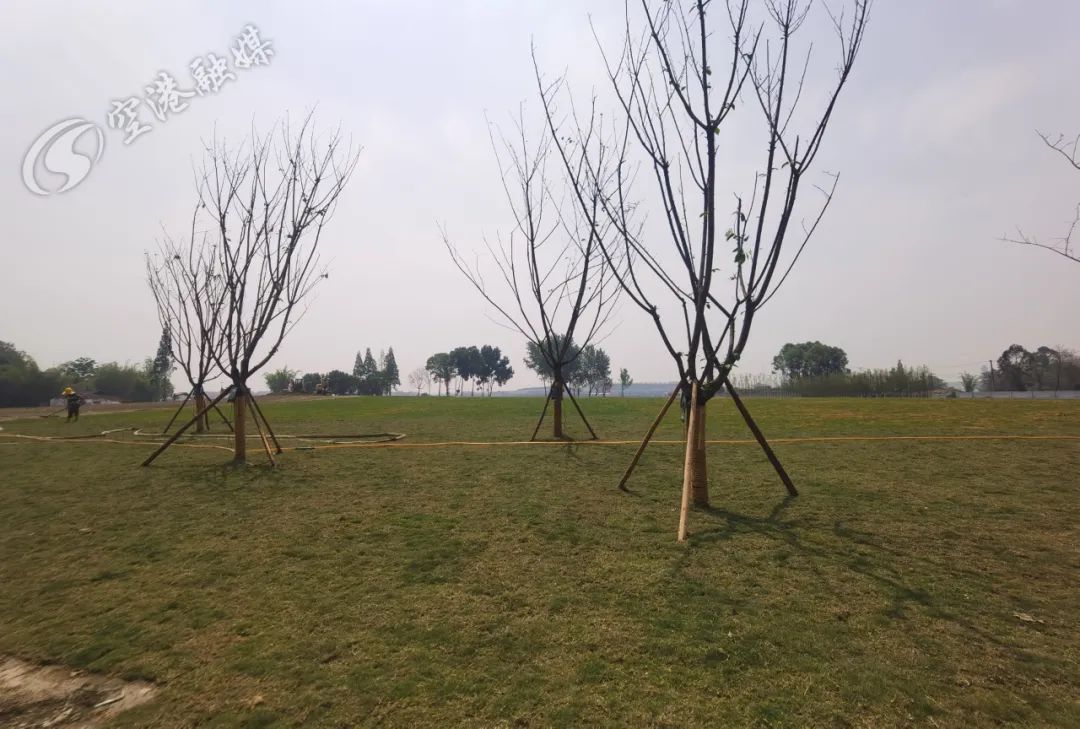 空港体育公园现在可以进去吗,空港体育公园还开放的吗