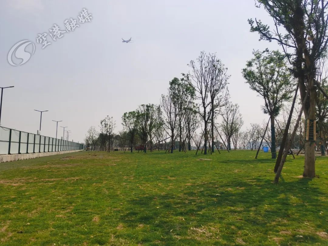空港体育公园最新消息,空港运动公园开放时间