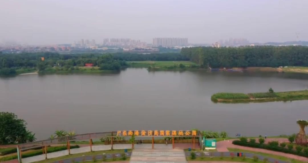 发扬战“疫”正能量！上周，佛山52次登上“学习强国”全国平台