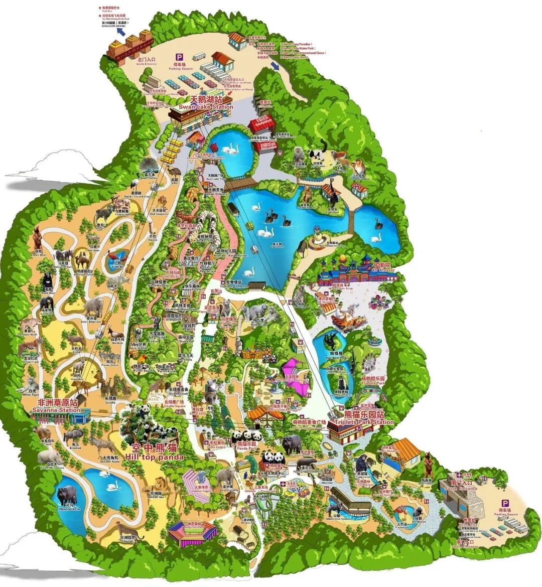 最新广州长隆野生动物园南门攻略,广州长隆动物园的白虎简介