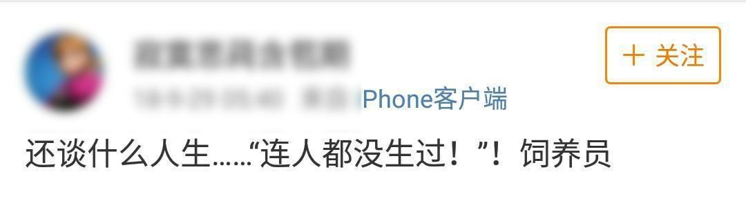 趣读丨你说情话的样子，还不如一个僵尸号