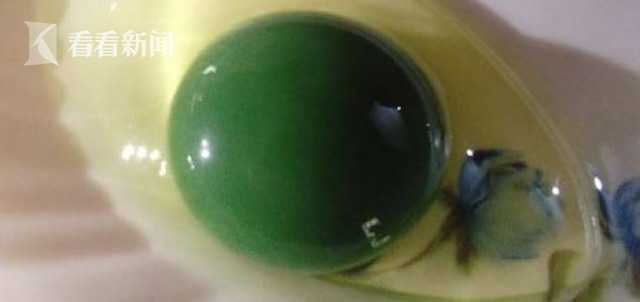 神奇小鸡出生了,神奇小鸡无壳孵化