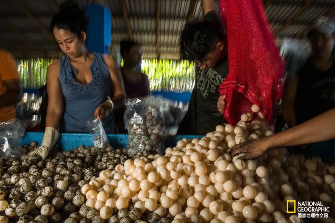 新冠肆虐,新冠在东南亚持续肆虐