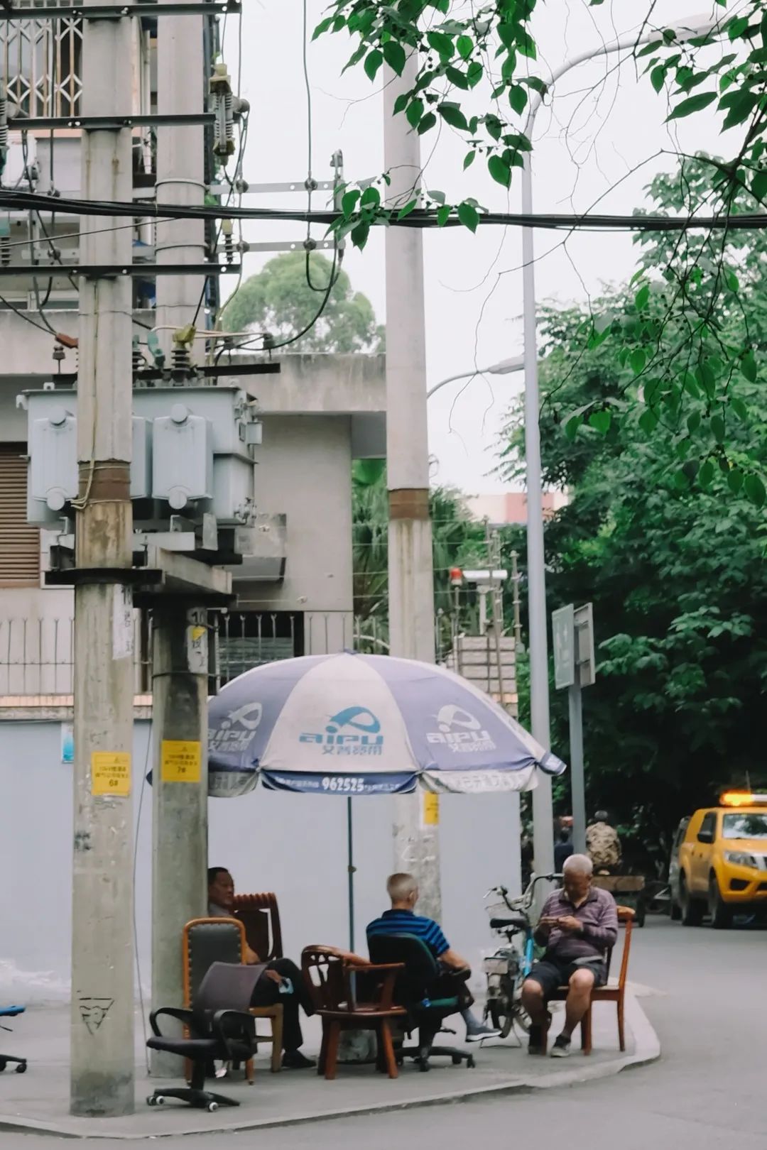 少陵路是属于哪个街道,三年前少陵路