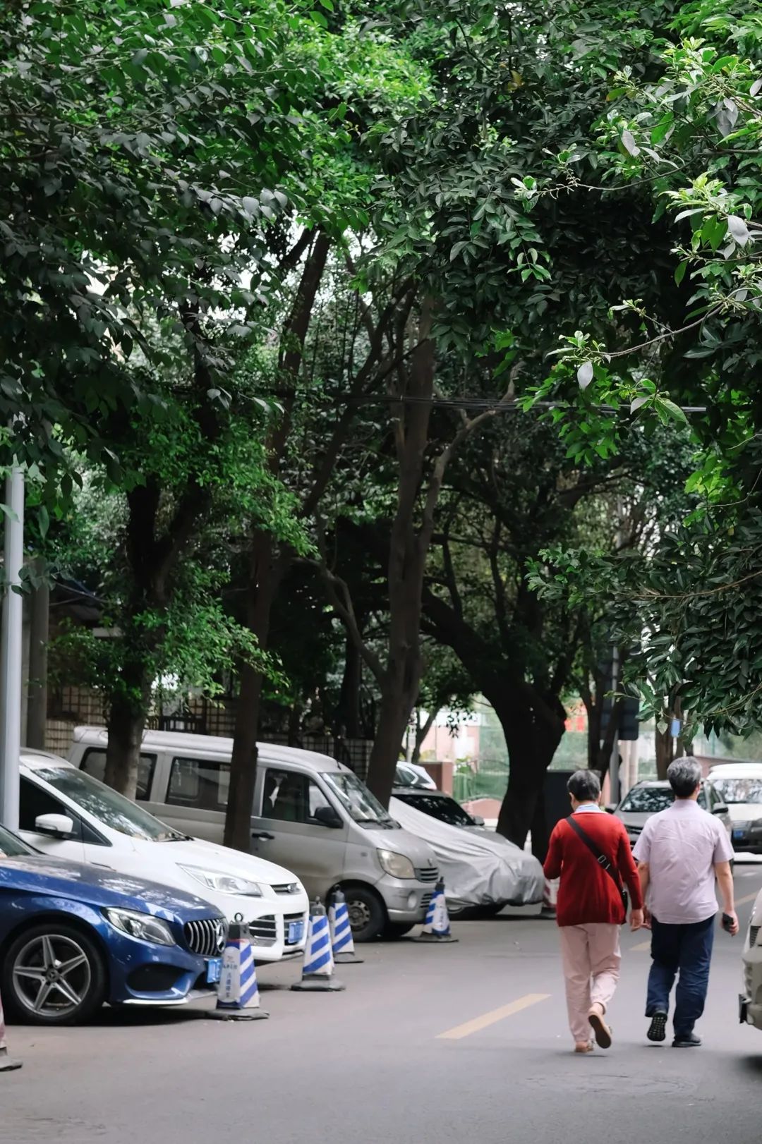 少陵路是属于哪个街道,三年前少陵路