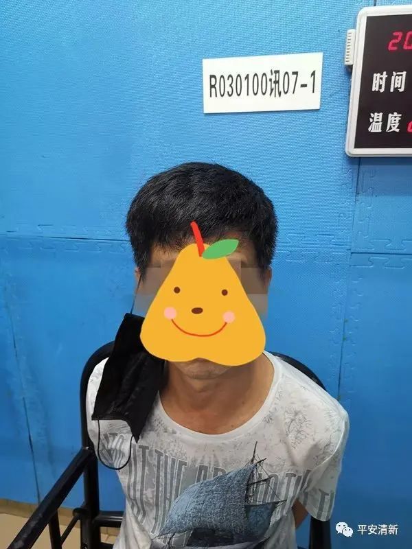 海底龟煲汤功效,海底龟煲汤