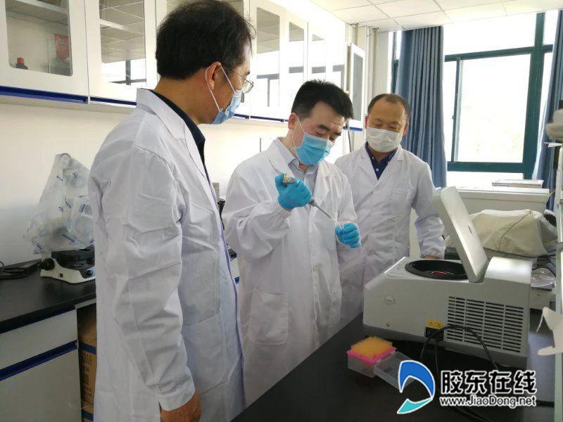 重磅!烟大研究团队与意大利学者联合发表七叶皂苷与新冠肺炎治疗