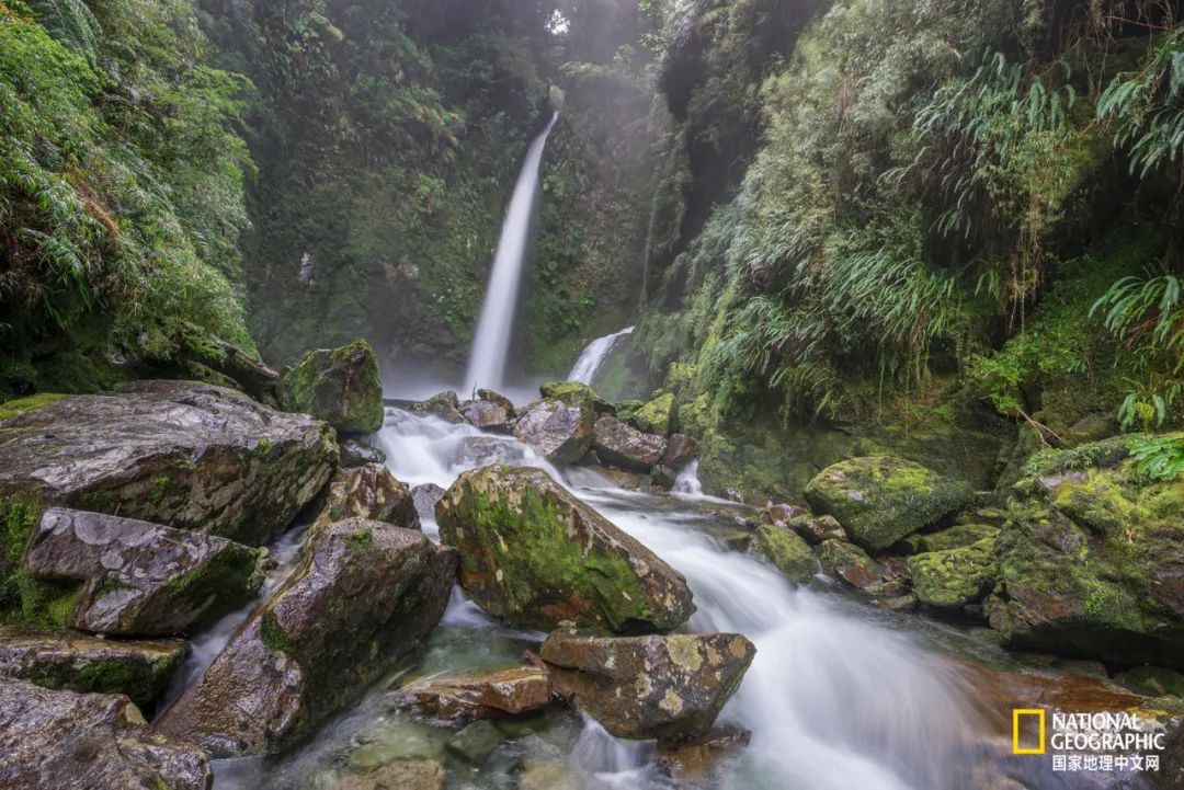 这对夫妇花巨资买下国家公园，居然白送？