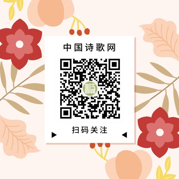 文史大参考公众号,文史青年公众号