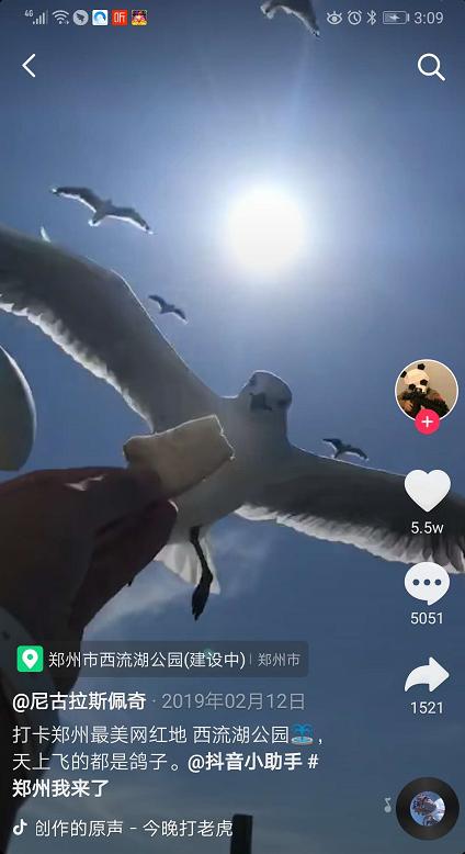 郑州适合拍照的十大网红打卡地,郑州旅游网红打卡地点推荐