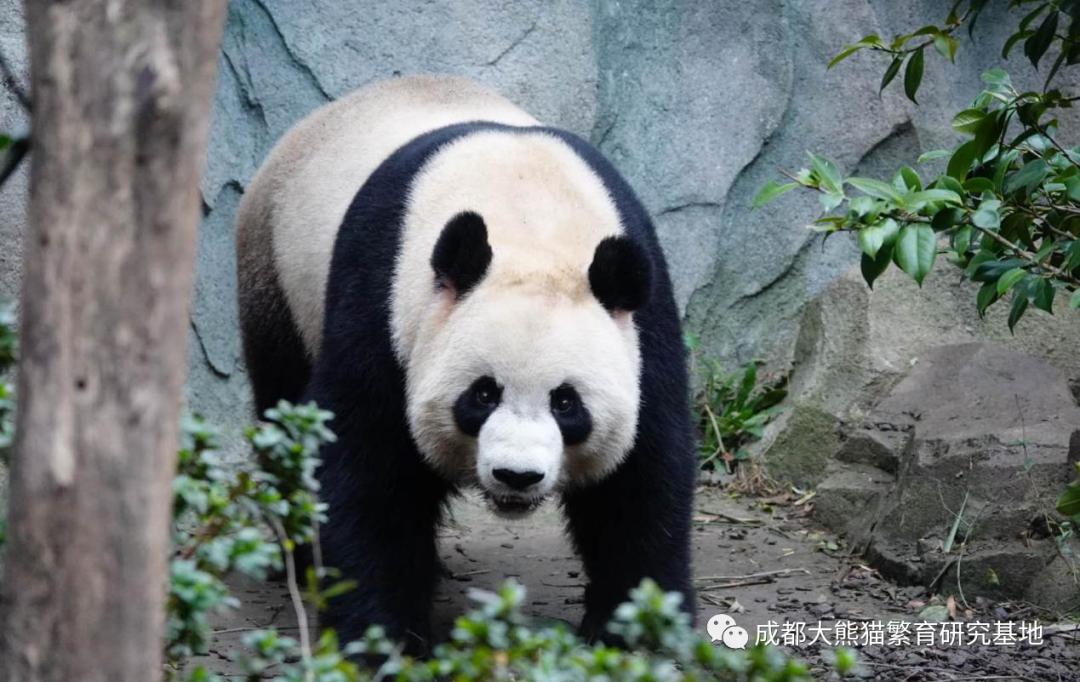 天津市六一都有什么活动,六一假期天津