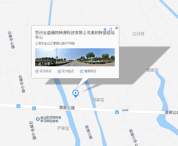 酸甜可口咬一口满嘴口水,酸甜脆爽一口就能爆汁