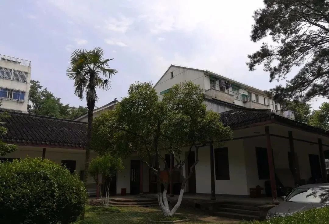 涓滃皬妗ユ渶濂界殑鍒,涓滃皬妗ュ紕鍒