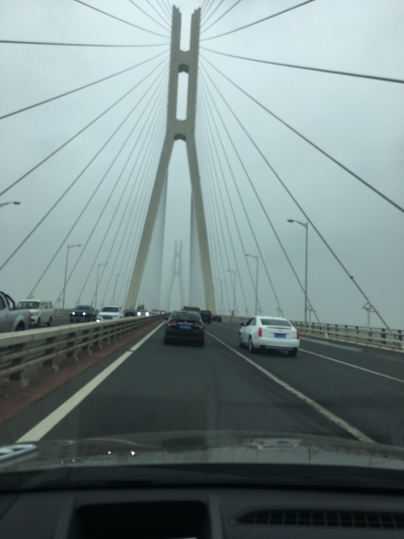 山湖水库迎风甩大鞭，没点技术怎么擒住斤翘