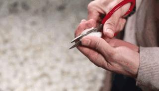 蚕丝被曝光事件,蚕丝被真相图片