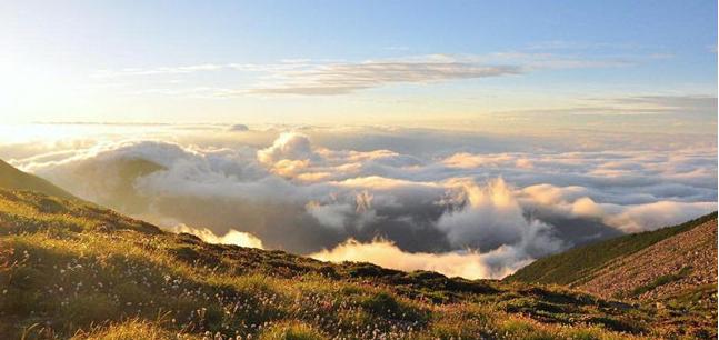 赴日学习,赴日本学习唐代建筑