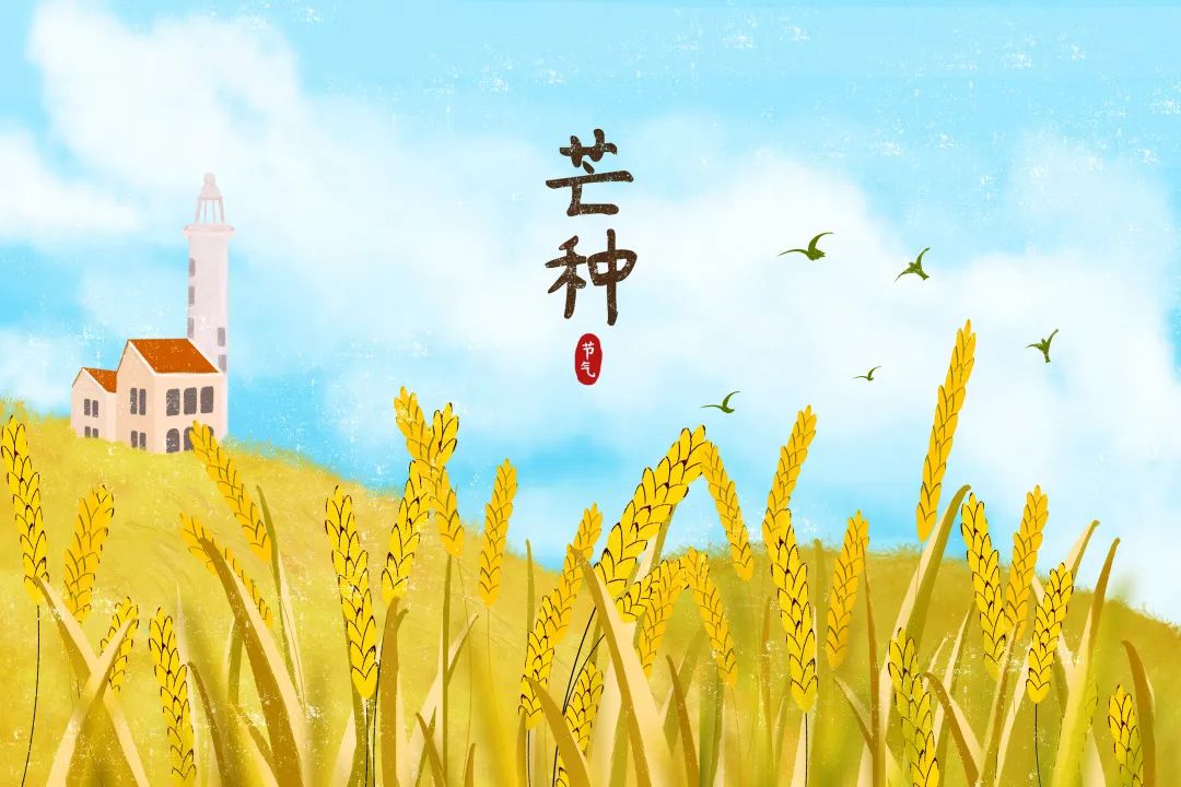 芒种至仲夏始人生丰收时,芒种至仲夏始介绍