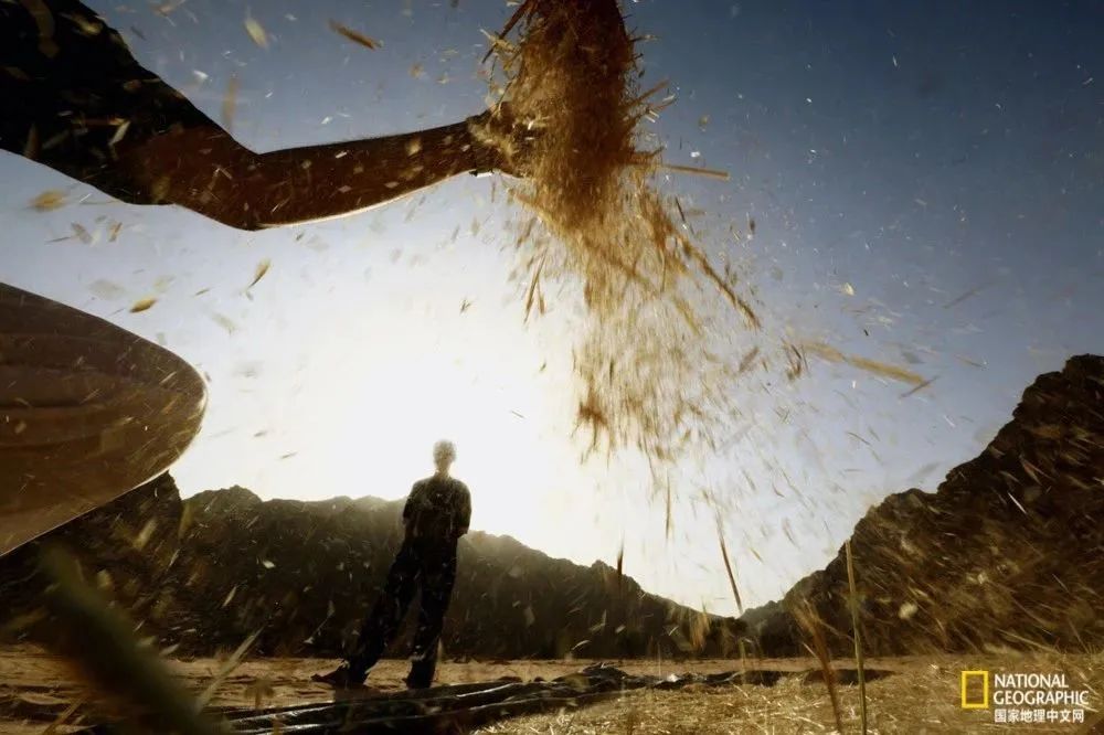 芒种至仲夏始人生丰收时,芒种至仲夏始介绍